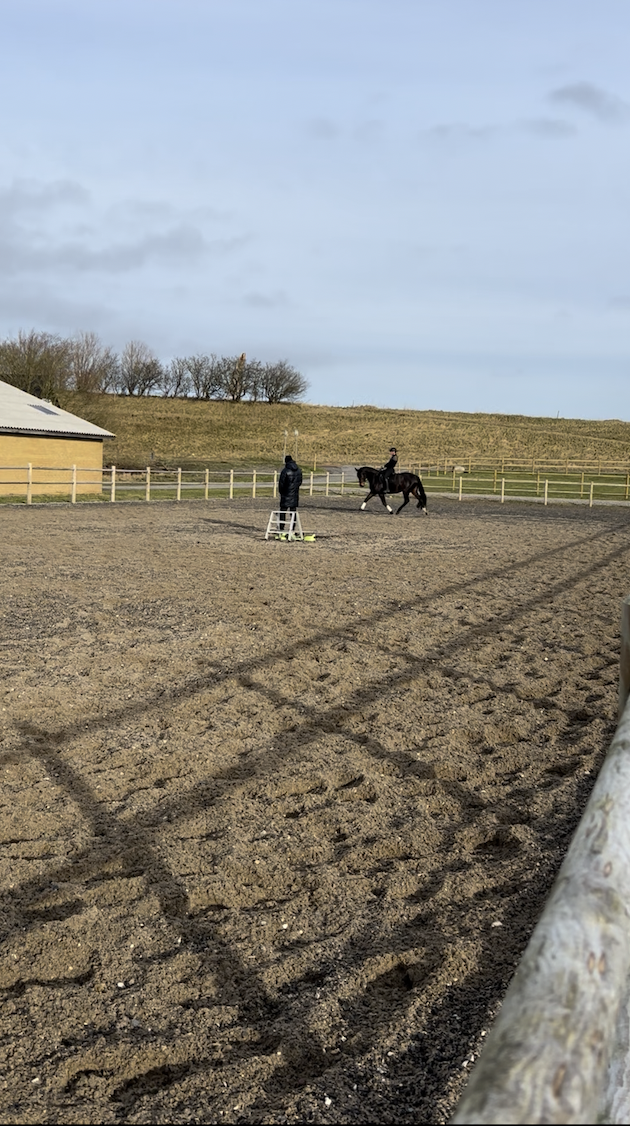 Skærmbillede 2025-10-31 kl. 10.05.57